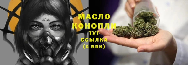 ГАЛЛЮЦИНОГЕННЫЕ ГРИБЫ Инта